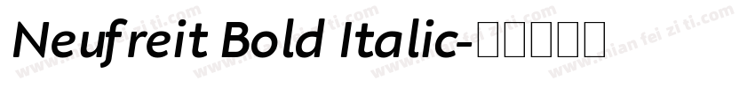Neufreit Bold Italic字体转换